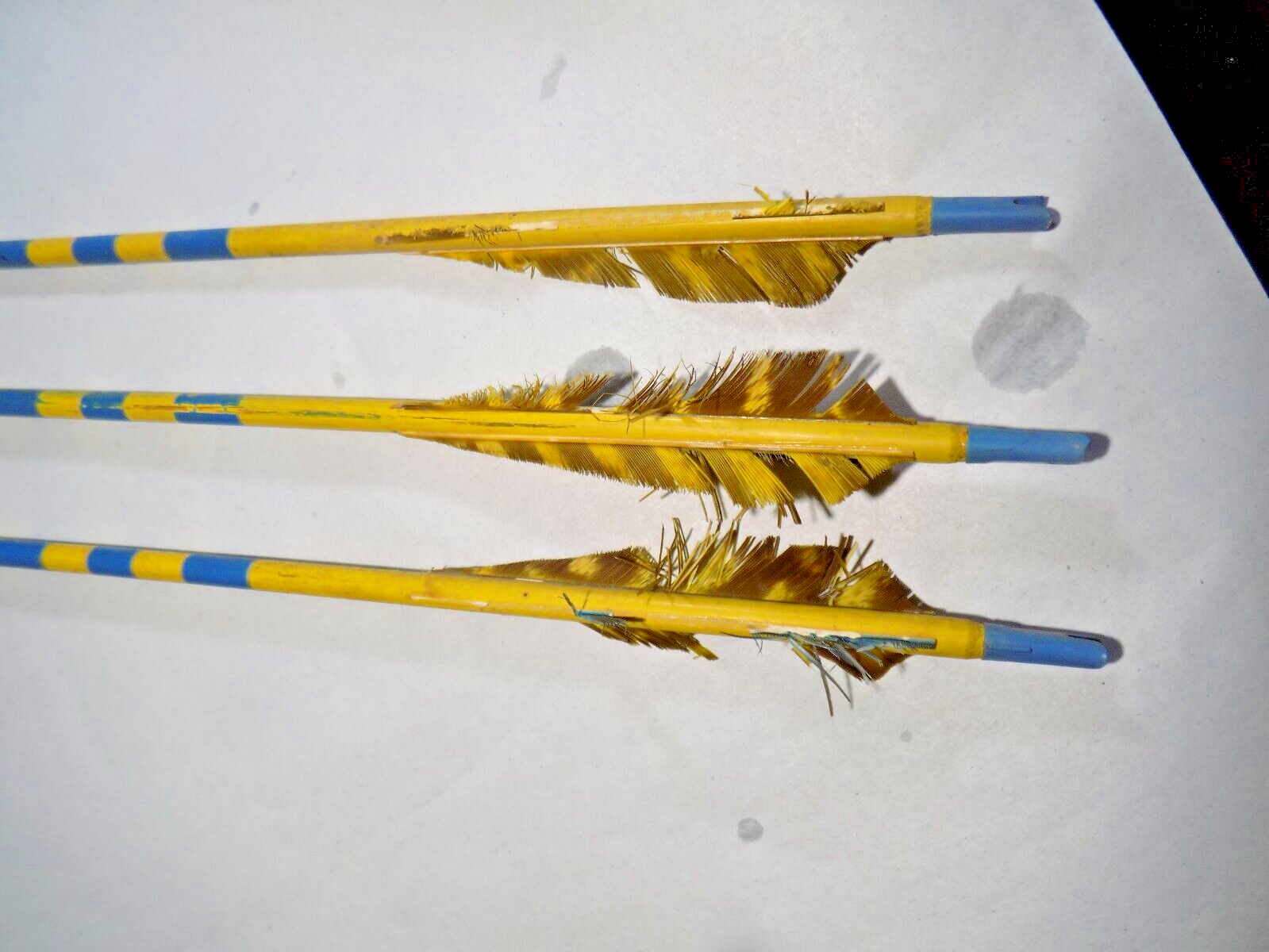Bear Archery Co. Bear Cub 62" 47 Lb. TT170 W/3 Arrows