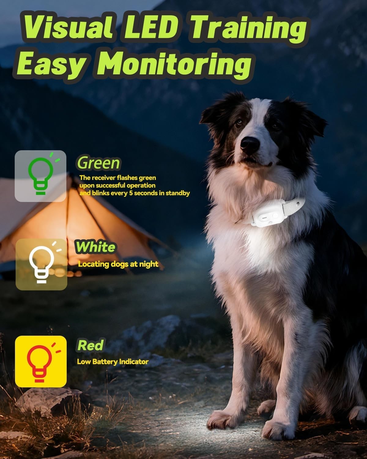 Professional Dog Training Collar with Remote & 3300FT Range - Waterproof & LED