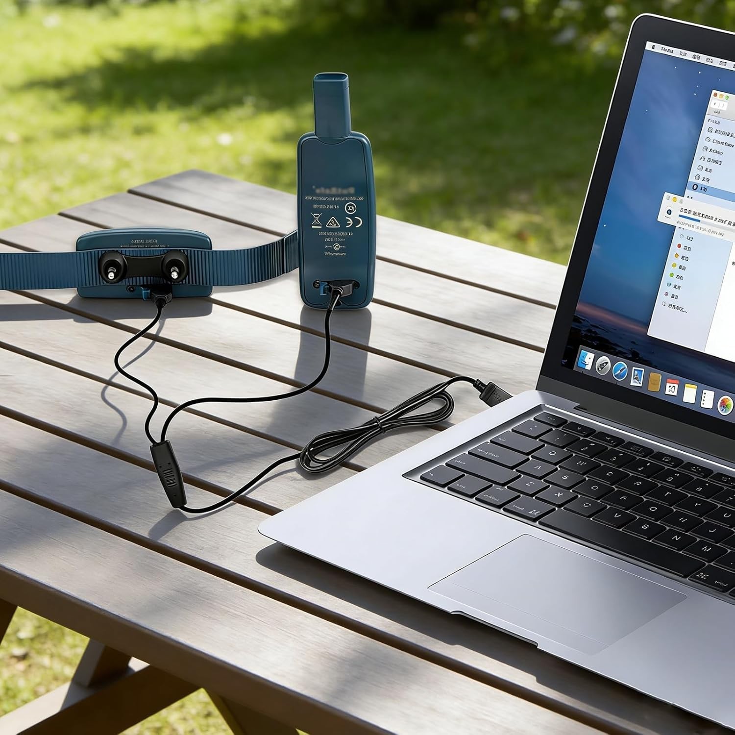 PetSafe Collar Charger Replacement – USB for Remote Trainer