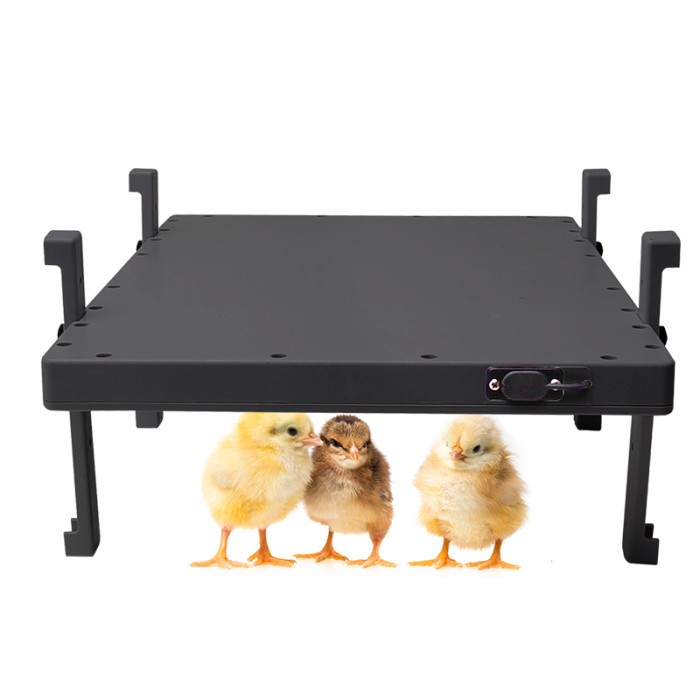 Drip Depot Radiant Heat Chicken Coop Warmer