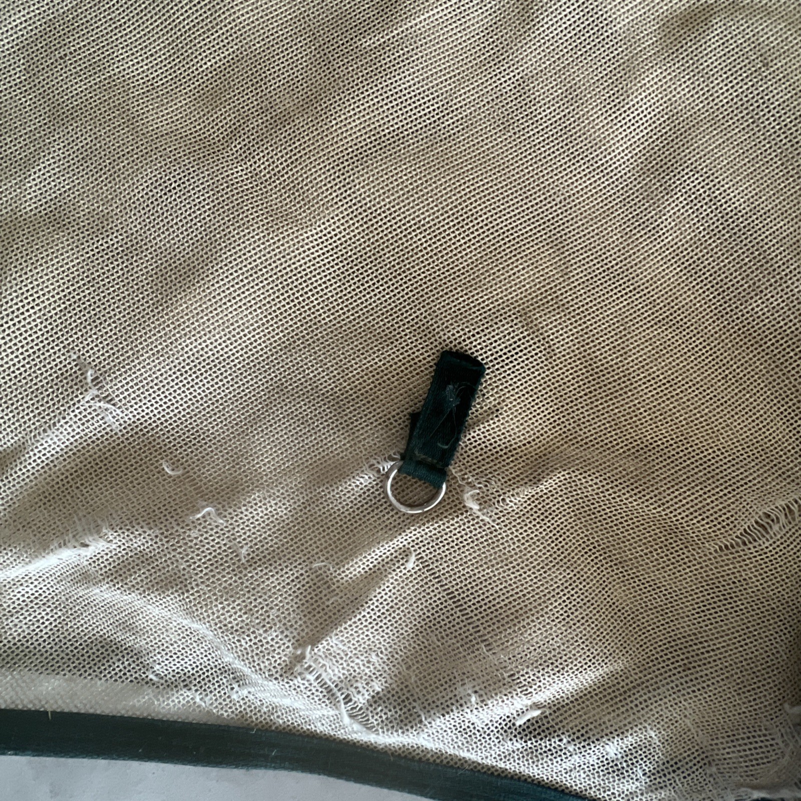 Horse Fly Sheet 66”