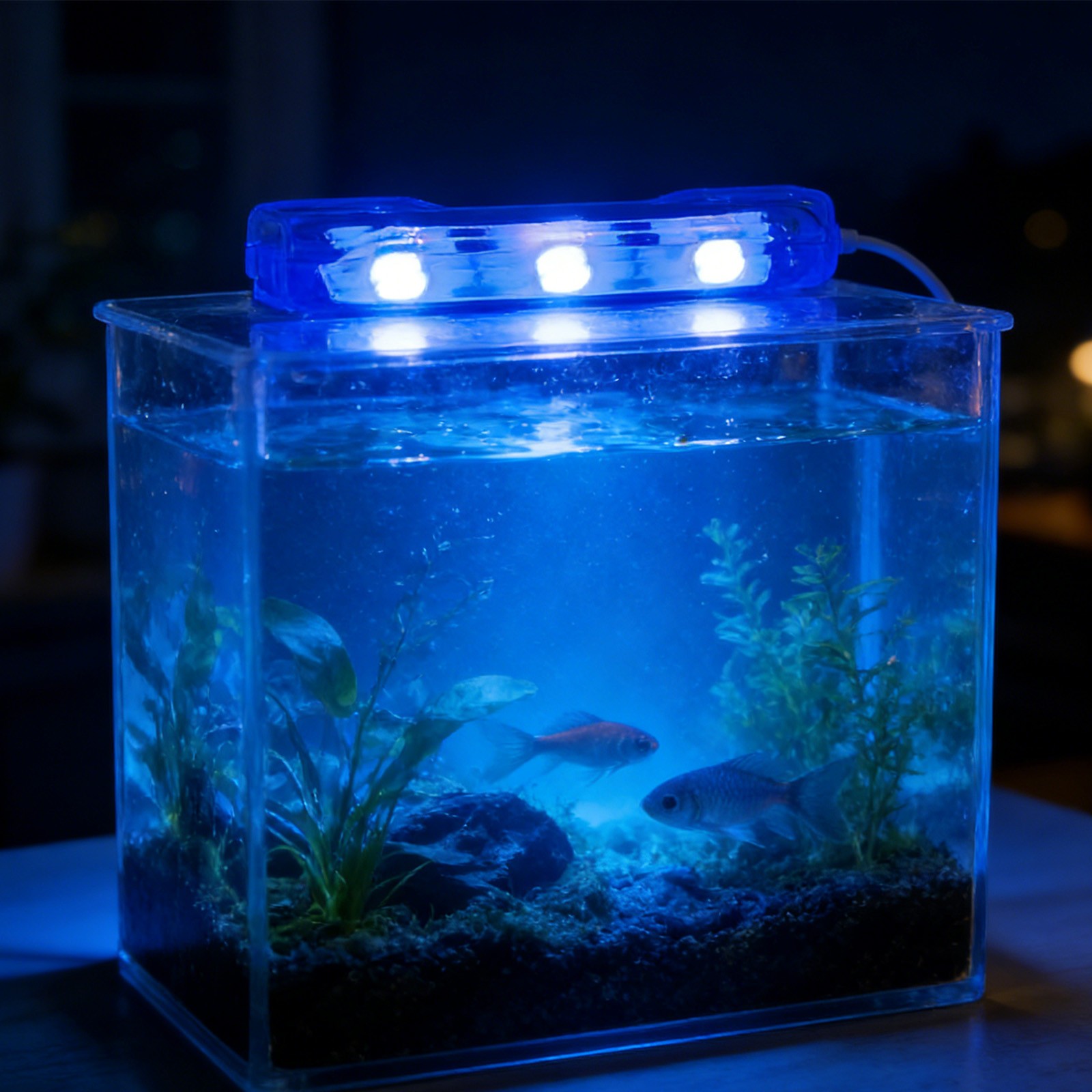 Small Aquarium Led Light Aquarium Lights For Tank Multicolor Led Tank Light
