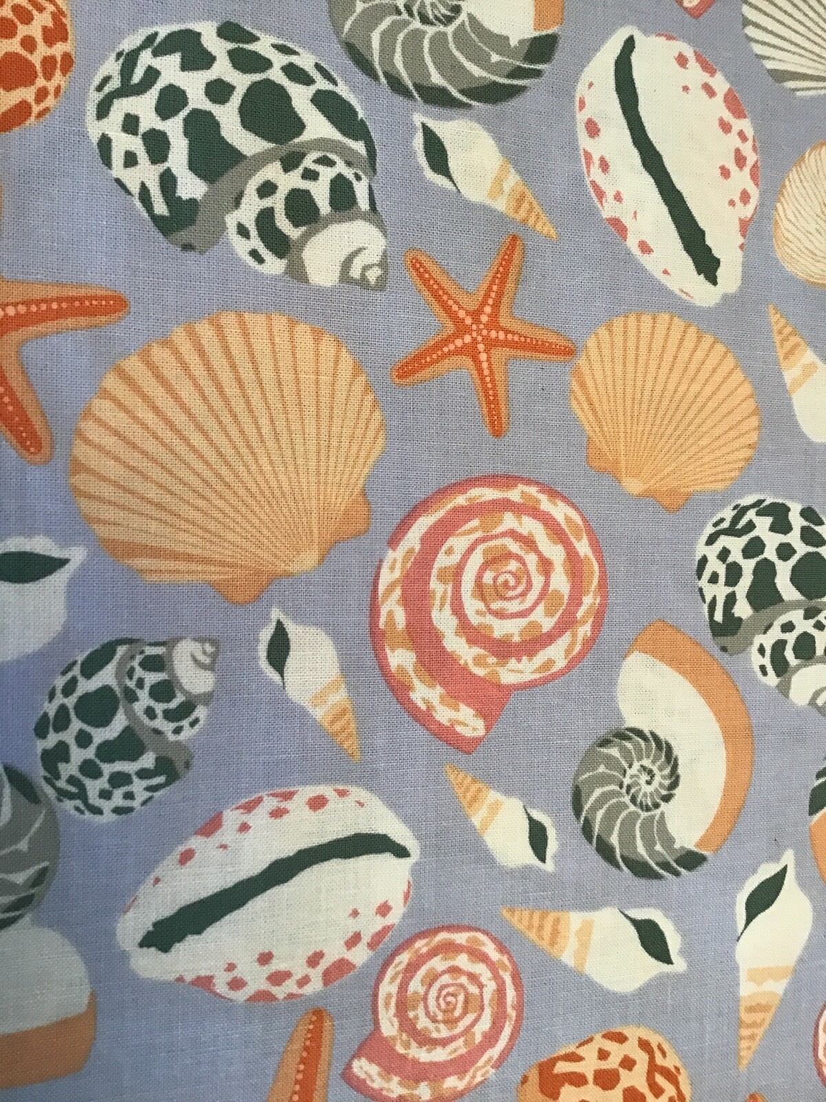 Fabric Seashell Cabana 5973, sold by the yard