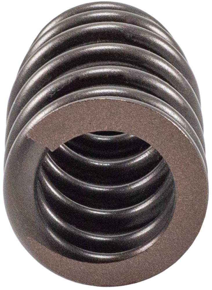 Engine Valve Spring Melling 466624