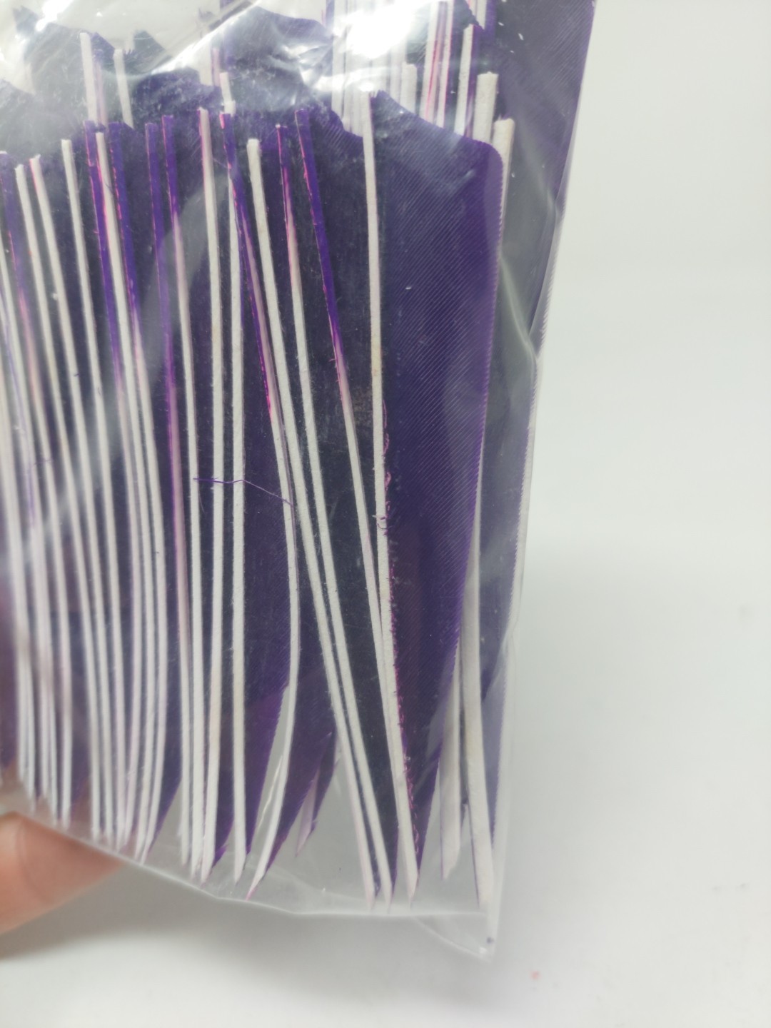 100pk Gateway Feathers 4" Left Wing: Shield Purple 400LSSPP-100