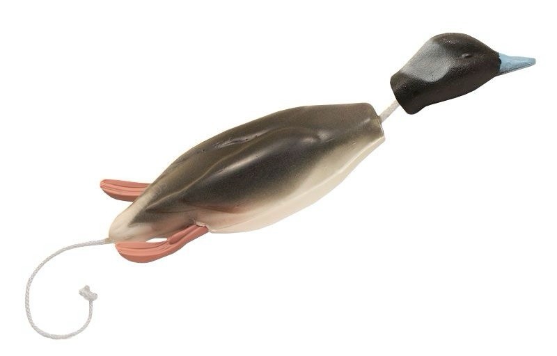 Dokken Dead Fowl Bufflehead Teal Puppy Trainer