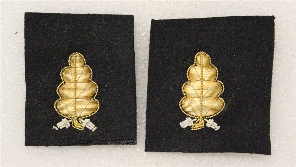 USN Navy Sleeve Insignia 1124: Dental Corps Officer - pair
