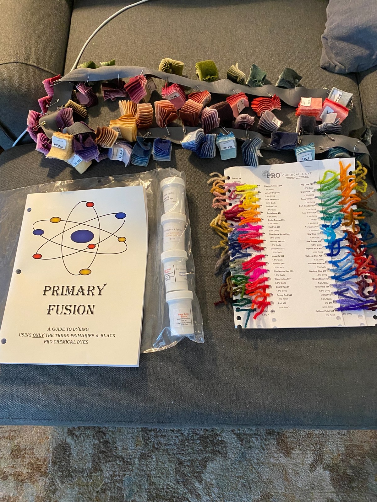 Pro Chem Dye Kit