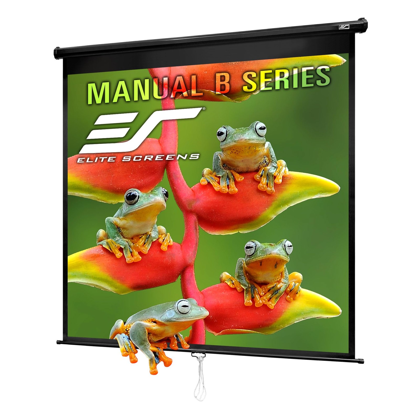 Manual B 125-INCH Manual Pull Down Projector Screen 1:1 Diag 4K 8K 3D HD Home...