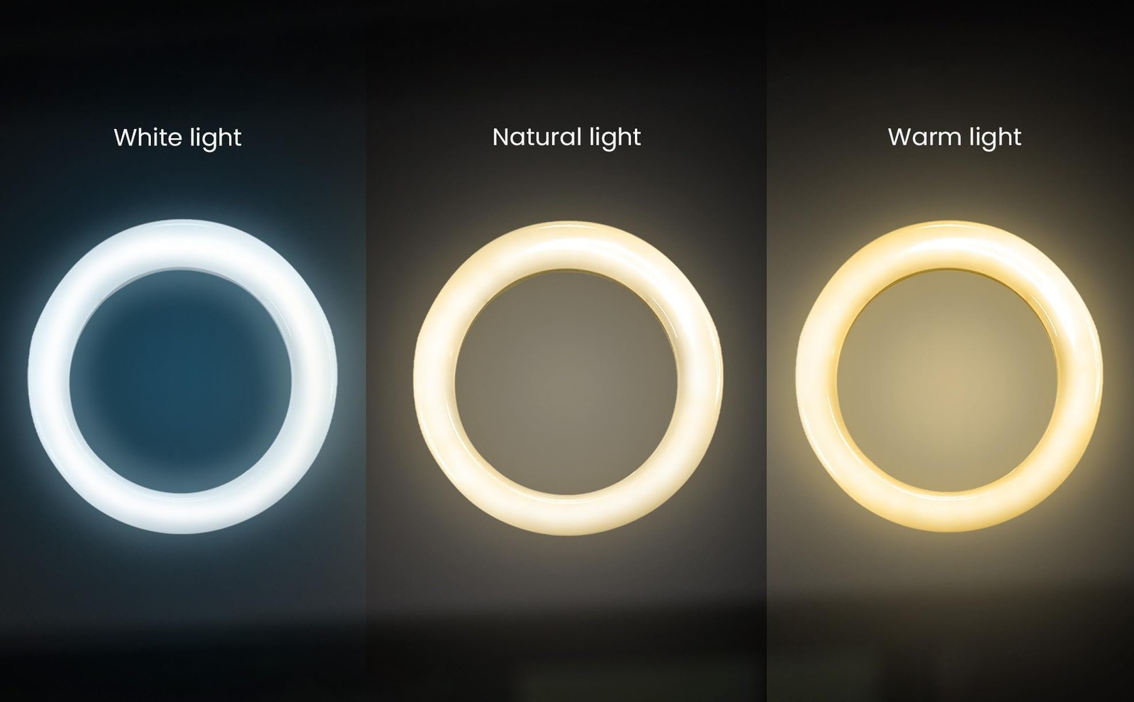 iDance LED Ring Light with Stand, 8", Portable Desk Ring Light with Cell...