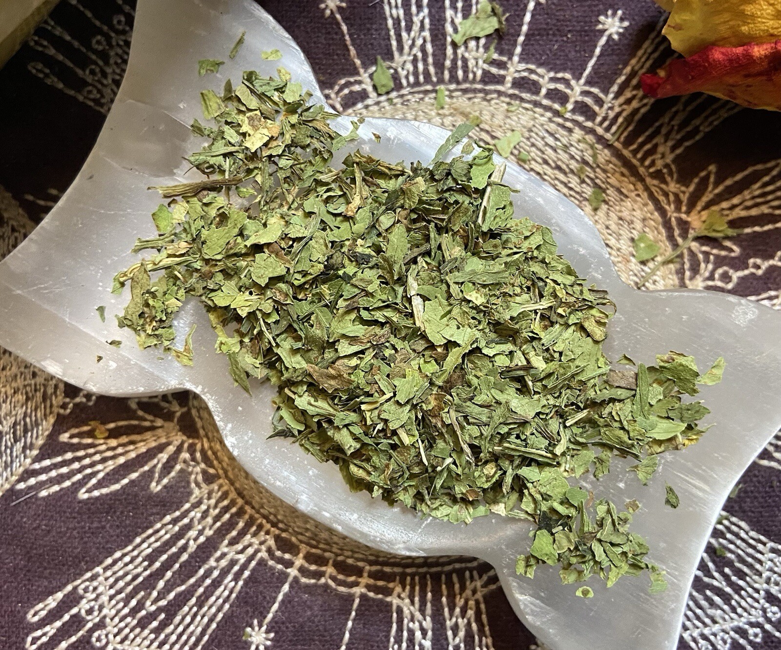 Lovage Leaf, Attraction, Psychic Dreams, Luck In Love, Luck In Sex, All Natural