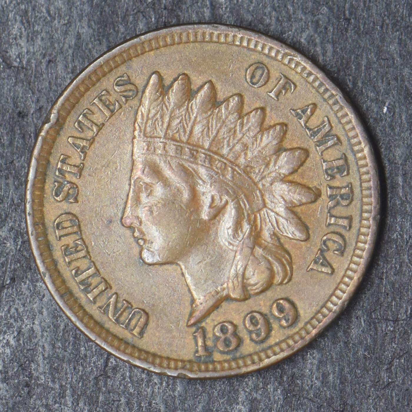 1899 "HIGH GRADE" Indian Head Cent - COINGIANTS -