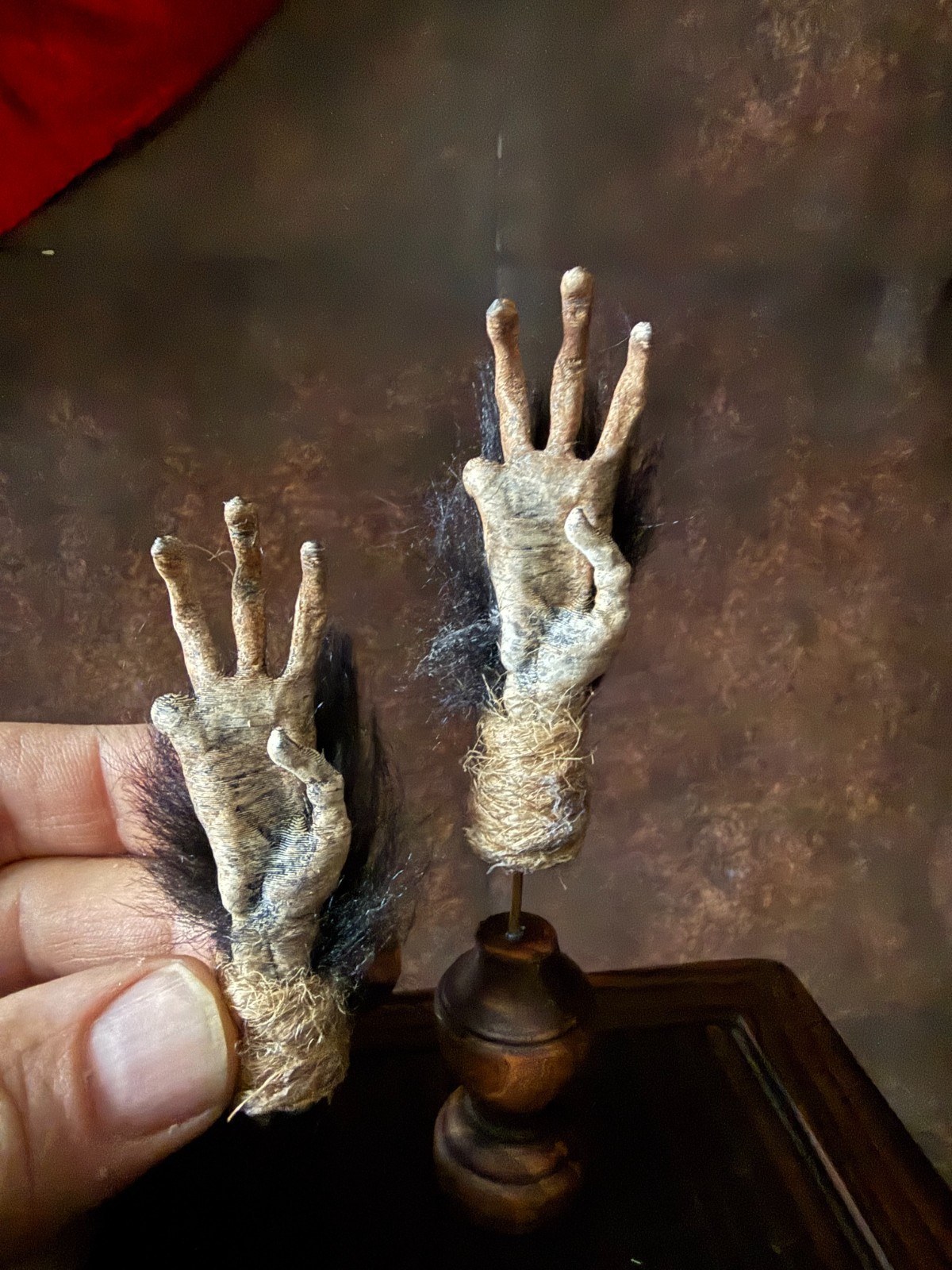 Cursed Monkey Paw for curiosity cabinet Mounted (small)