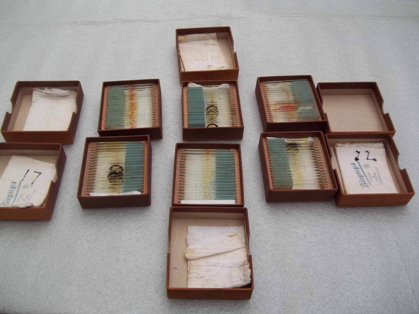 Vintage Glass Microscope Slides - 6 x Boxes