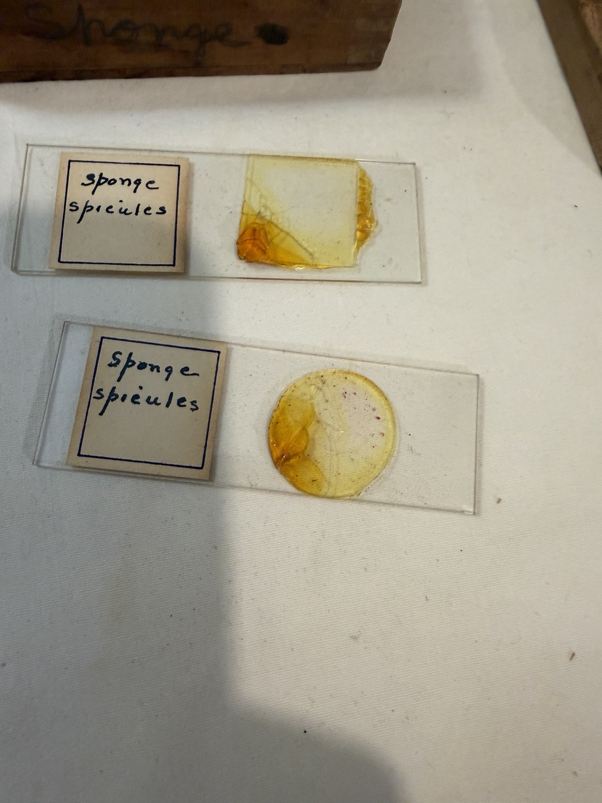 Vintage Microscope Medical Lab Slides