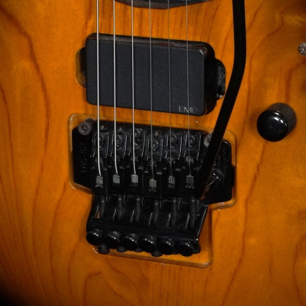 BACCHUS Order Model BST EMG Floyd Rose Sunburst [-----]