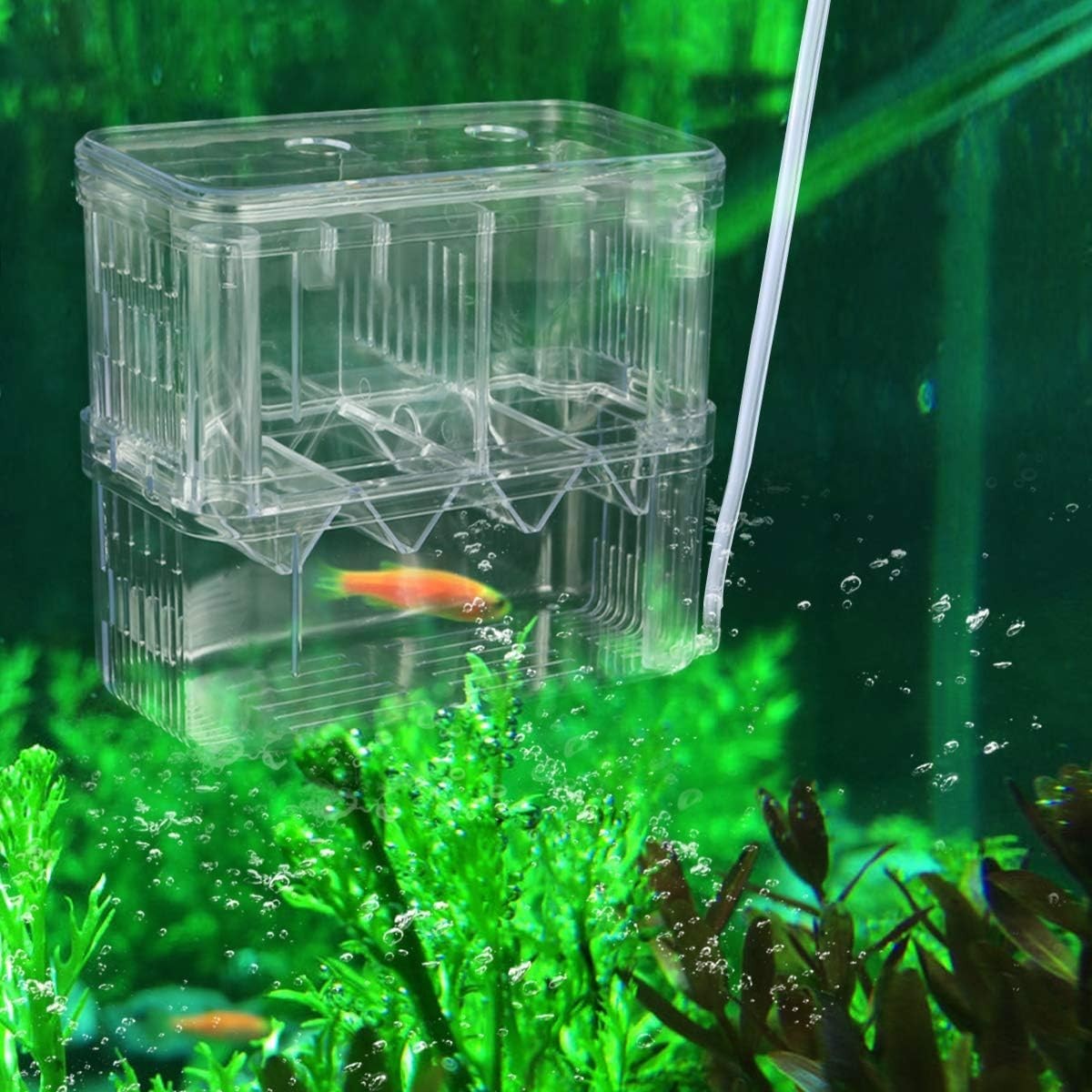 Aesthetic Plastic Fish Breeder Box - Prevent Fish Aggression & Enhance Survival
