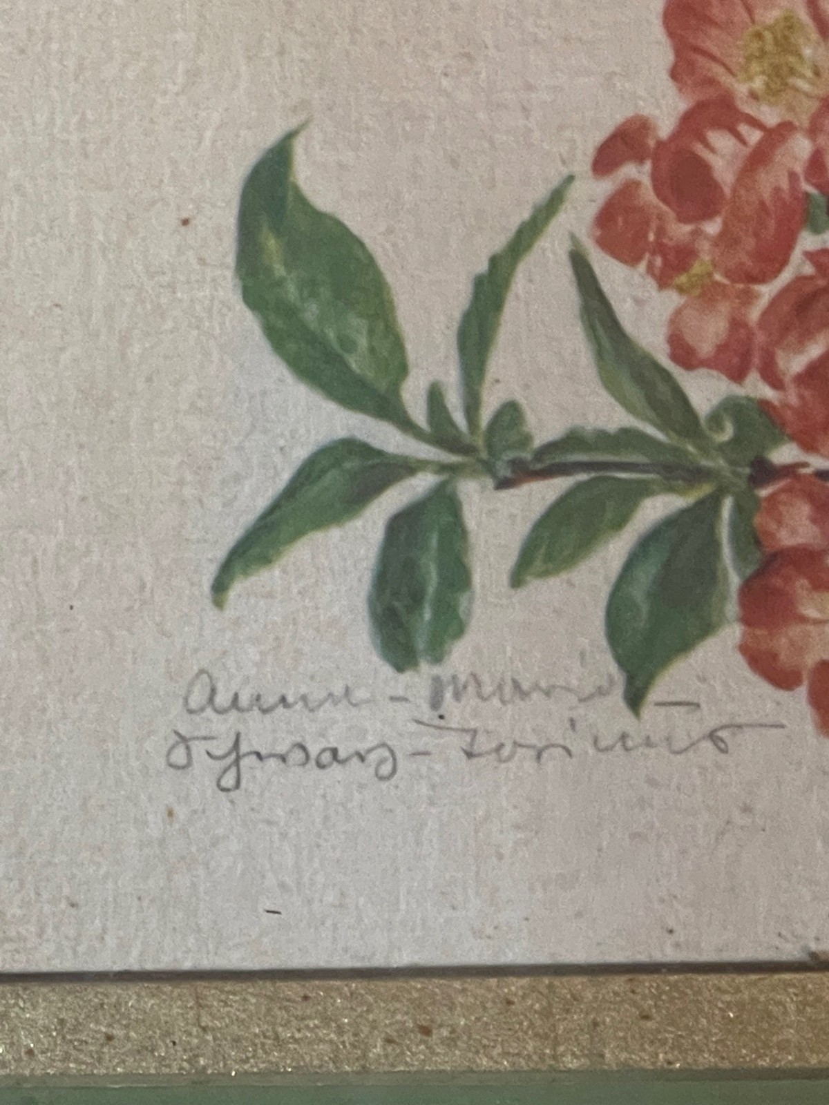 vintage wall art work gold green wood framed shabby chic Chaenomeles print READ