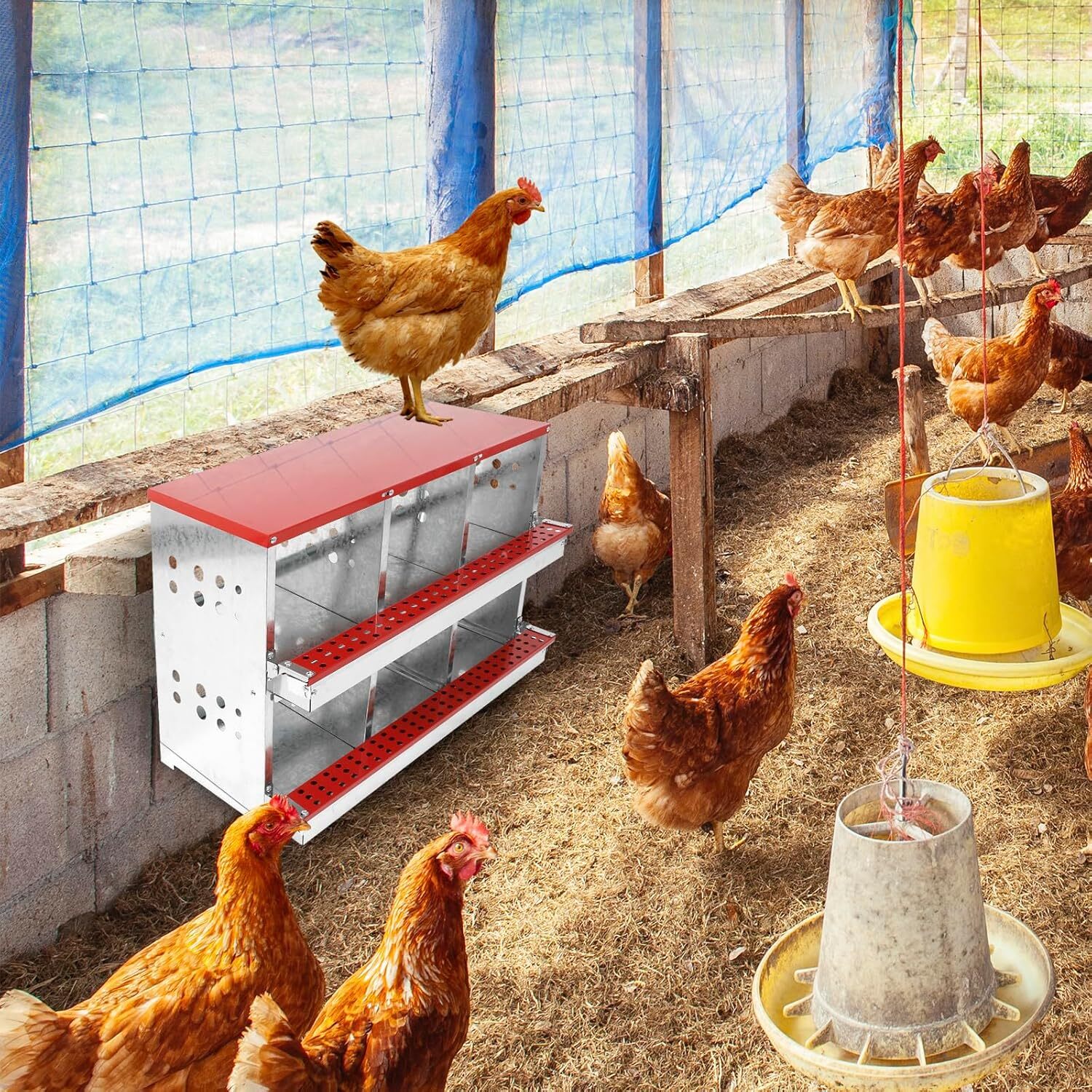 Chicken Nesting Box Hen Laying Boxes Roll Away Nesting Box for Laying Egg 6 Hole