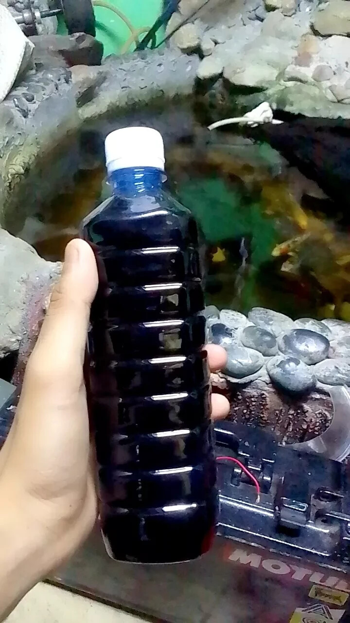 catappa leaf extract for the best aquarium fish care easy to use