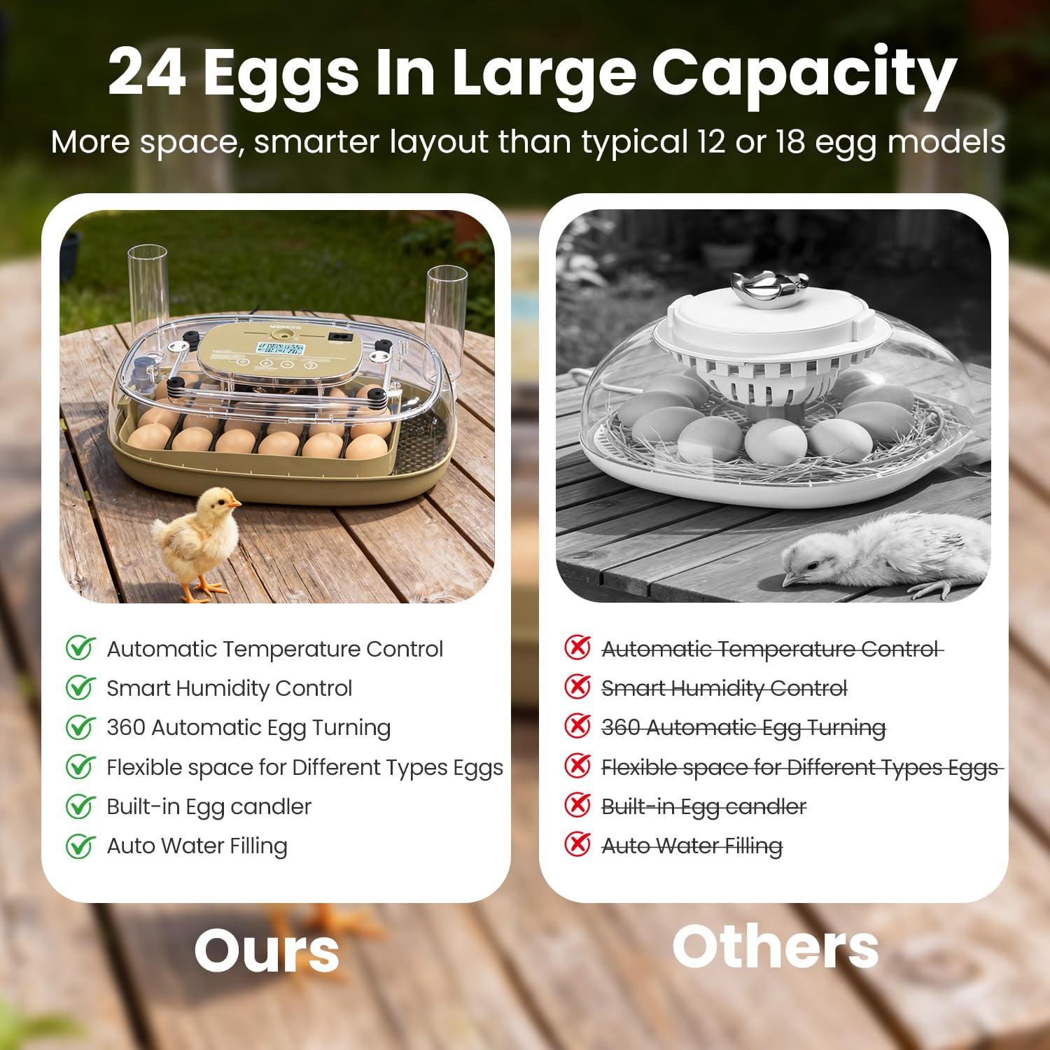 Incubators for Hatching Eggs,24 Eggs Capacity with Automatic Turning, Accurate T