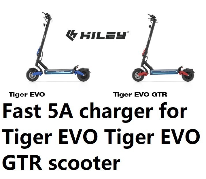 🔥ac adapter fat 5A battery Charger for 52v Hiley Tiger EVO / Tiger EVO GTR