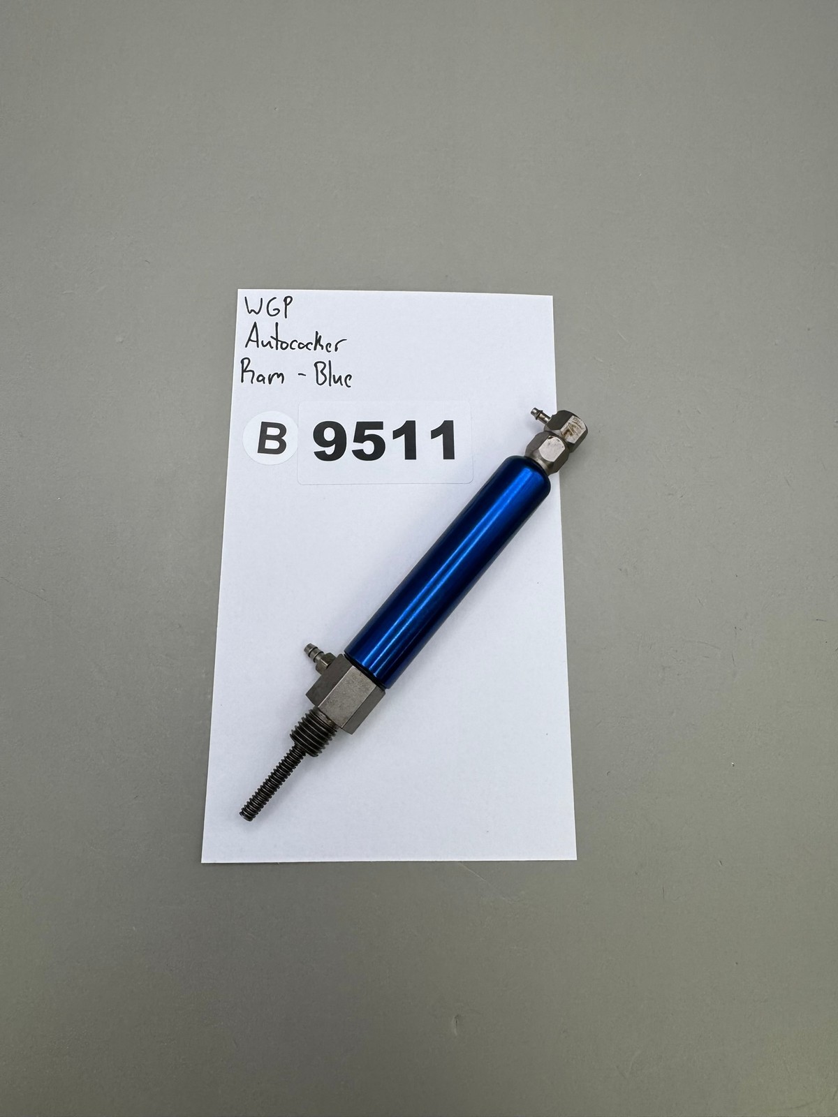 WGP Autocoker Ram - Blue