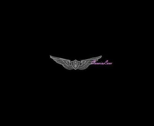 US Crewman Wings 1-1/8" + a custom promo pin