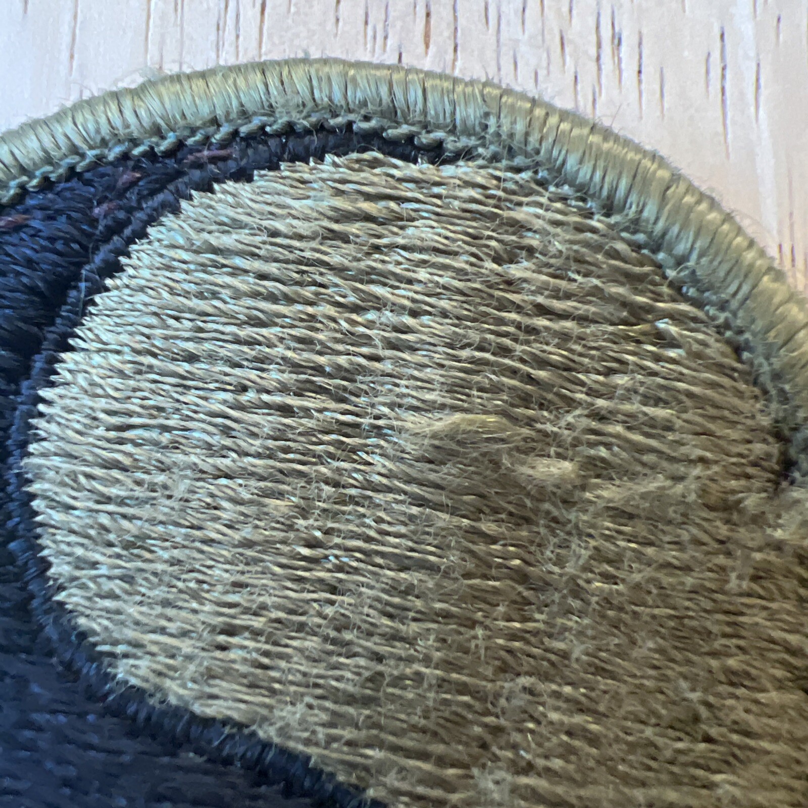 U.S. Army 29th Infantry Division OCP Patch