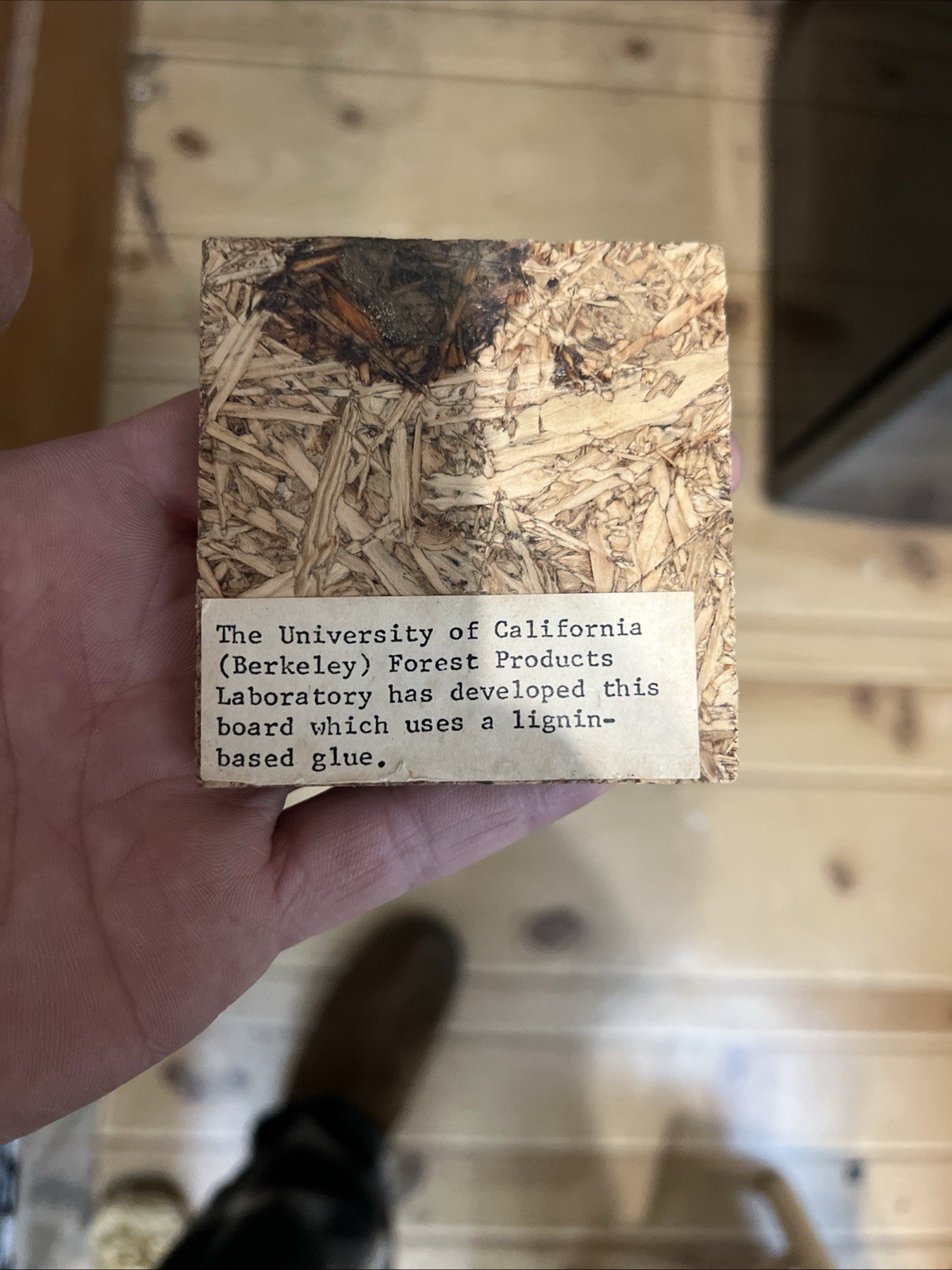First Glue Pressed Wood Board From university Of California Berkeley 1940s