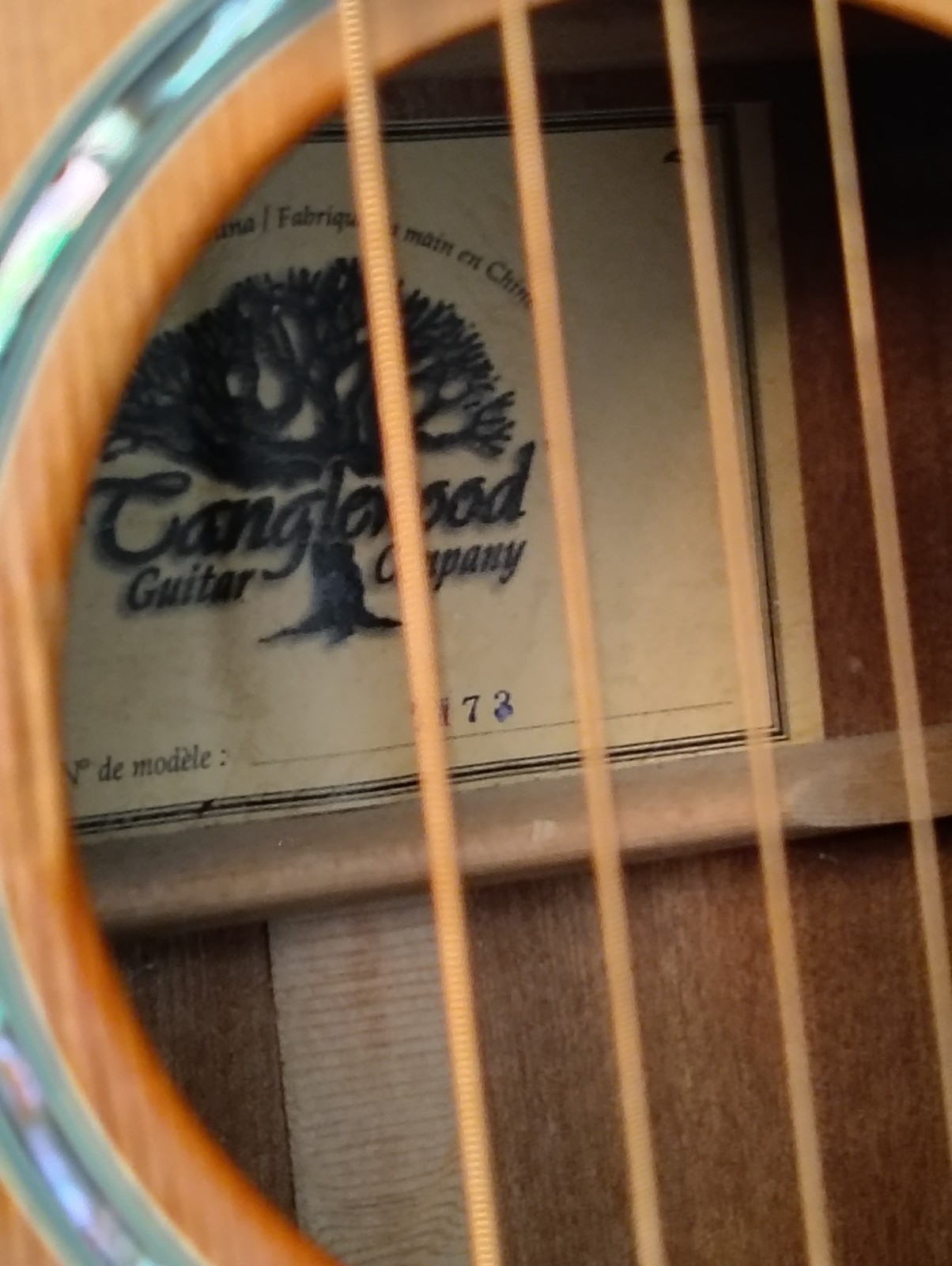 Tanglewood TW73 Classical Guitar 6 String Brown Standard Body with Case
