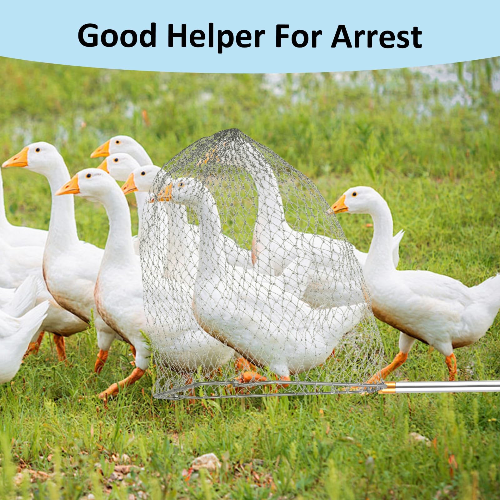 Chicken Catching Net Set – 2 Nets with Adjustable 74 Inch Pole, Lightweight B...