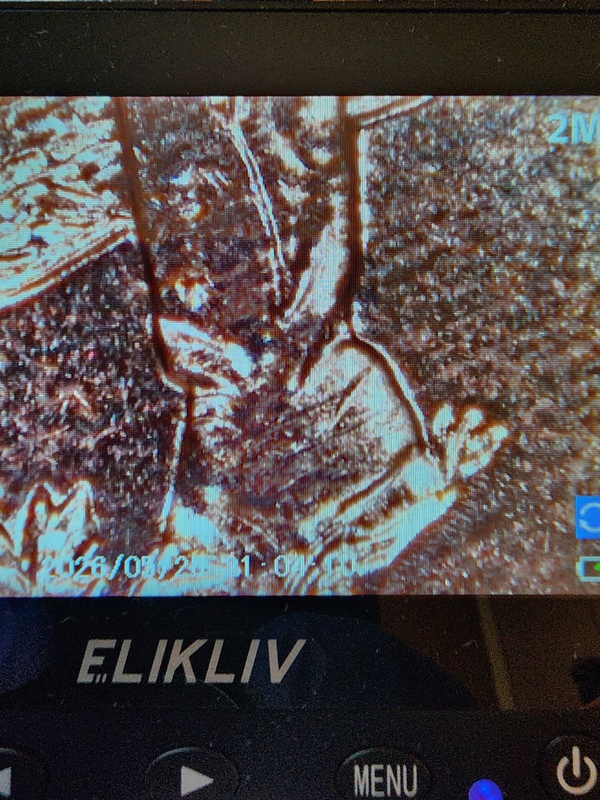 2009 Lincoln Bicentennial Formative Years Variety Small Cent Rim Error/DDO