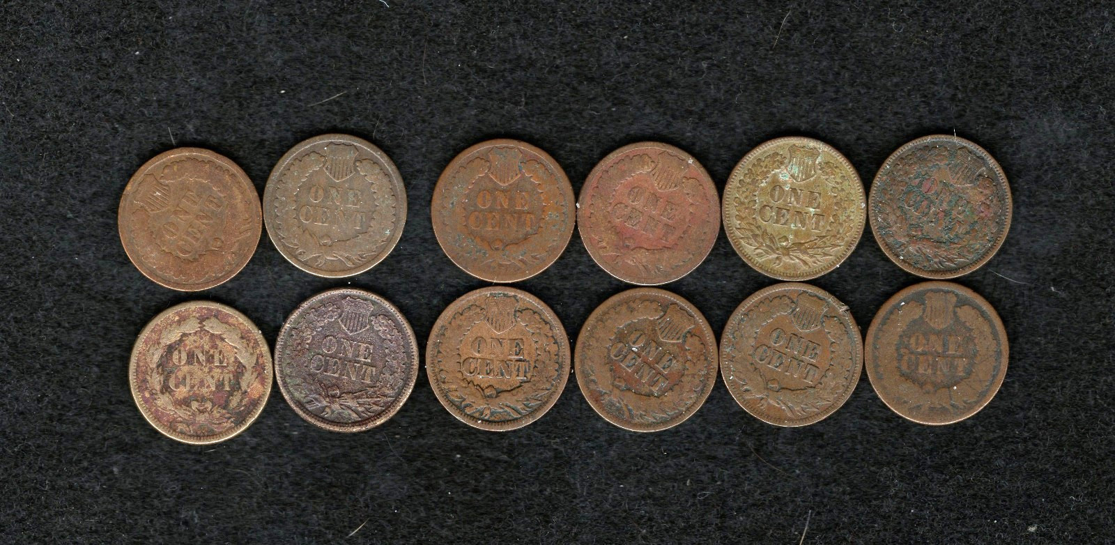 Indian Cents- 12 different 1859 thru 1891