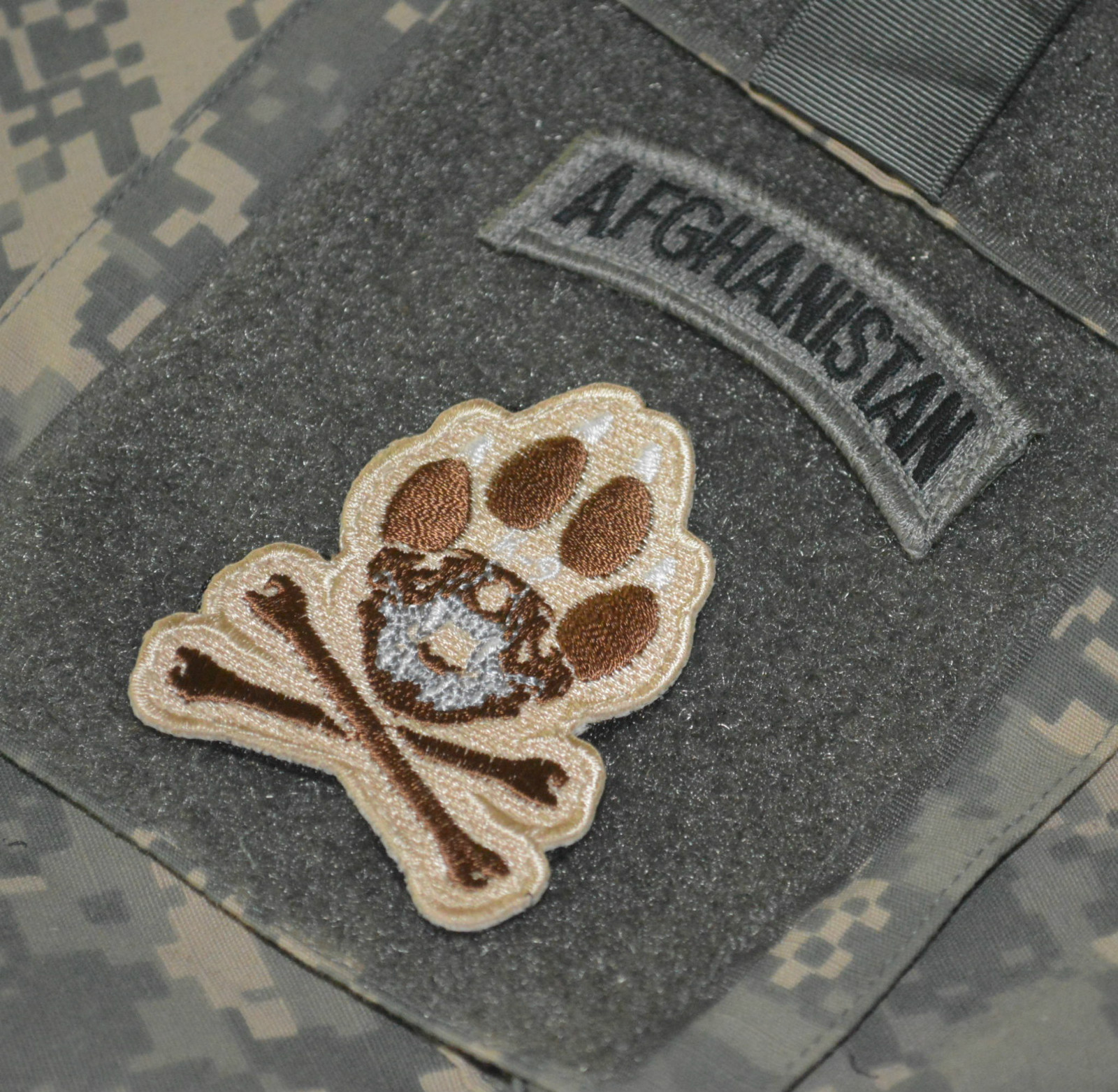 JOINT SP OPS TASK FORCE JSOTF-A SEAL ODA vêlkrö PATCH: MAJOR LEAGUE EOD K-9