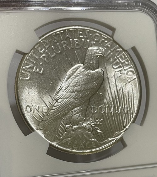 U.S. - 1925 Large Silver Peace Dollar (NGC MS 63) - Nice