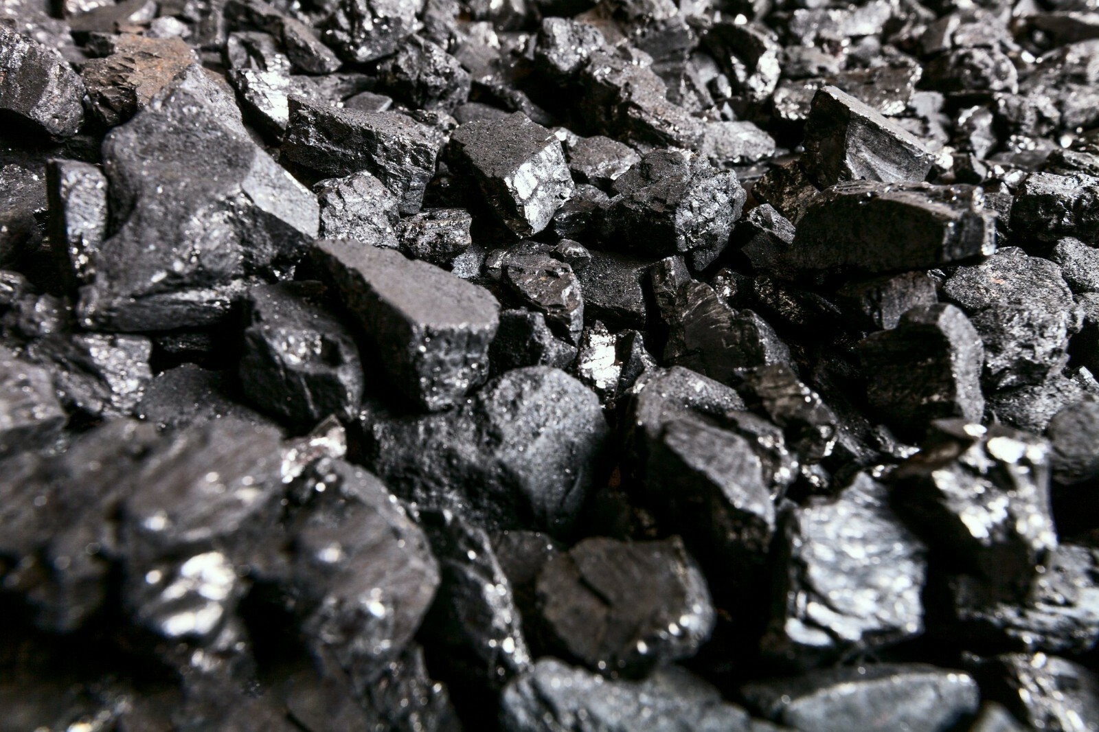 Blacksmithing Coal 25lbs