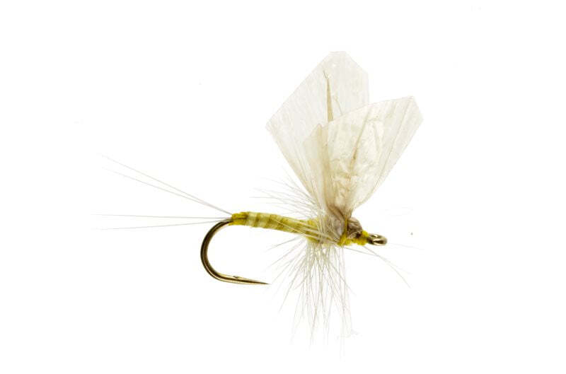 Hackle Dun PMD - Fly Fishing Flies (1 pc)