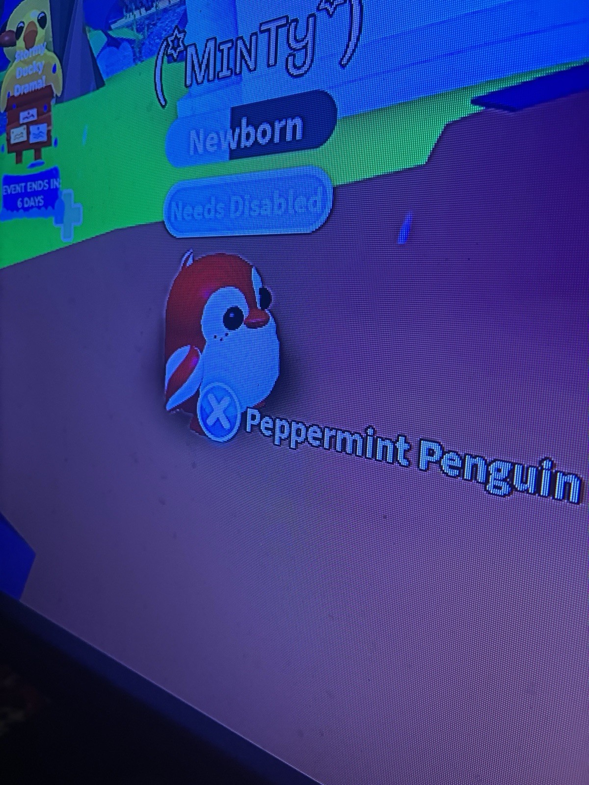 Peppermint Penguin (No Pot)
