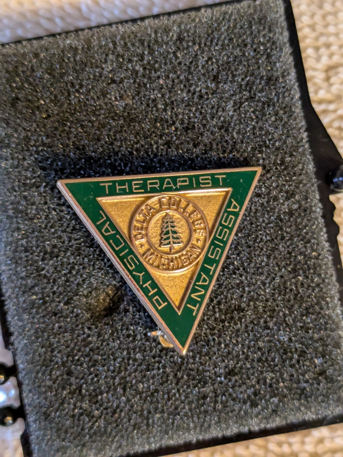 1983 Physical Therapist Assistant Lapel Pin Enamel & Gold Tone-Delta College