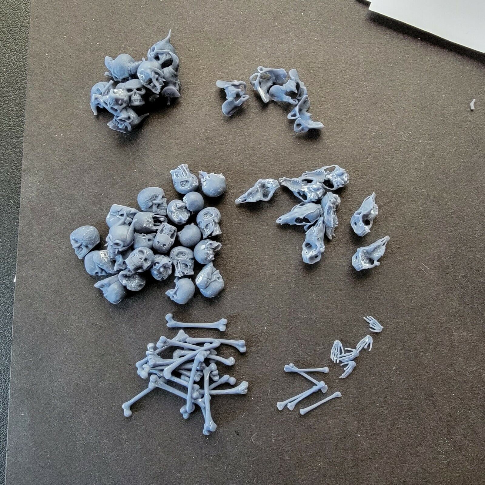 SKULLS AND BONES for miniature basing bits