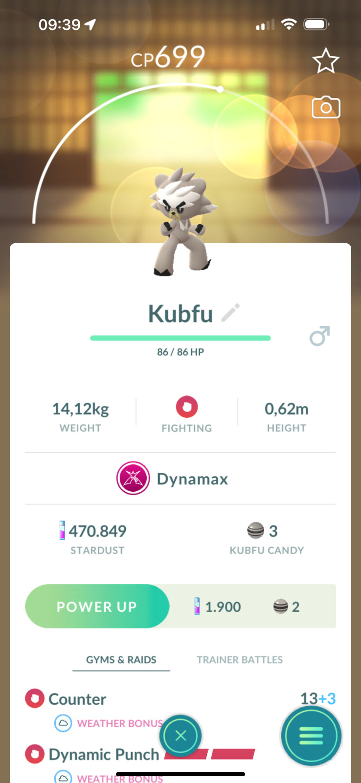 Dynamax Kubfu  - Tr-de 20k stardust
