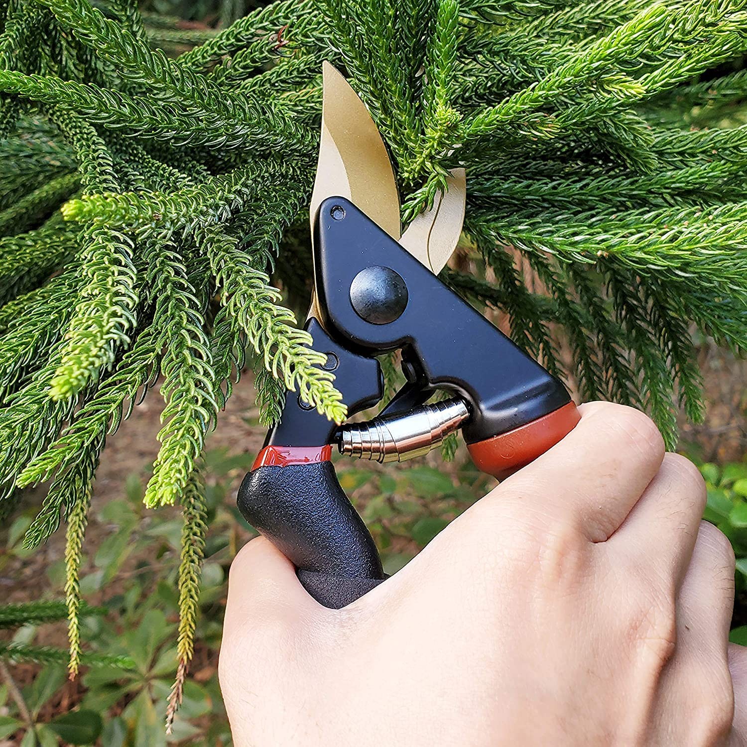 gonicc 8.5" Professional Golden Rotating Titanium Bypass Pruning Shears