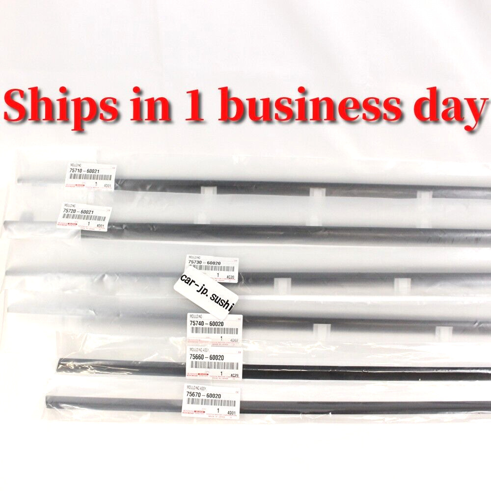 TOYOTA Genuine 91-97 Land Cruiser 80 FJ80 LEXUS LX450 Door Belt Out Molding 6Pcs