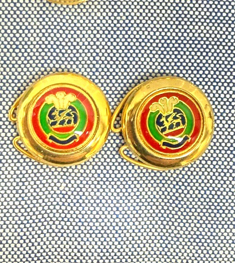 Italy Heraldic Crest Blazer Button Covers Set Prince of Wales Feathers Enam VTG
