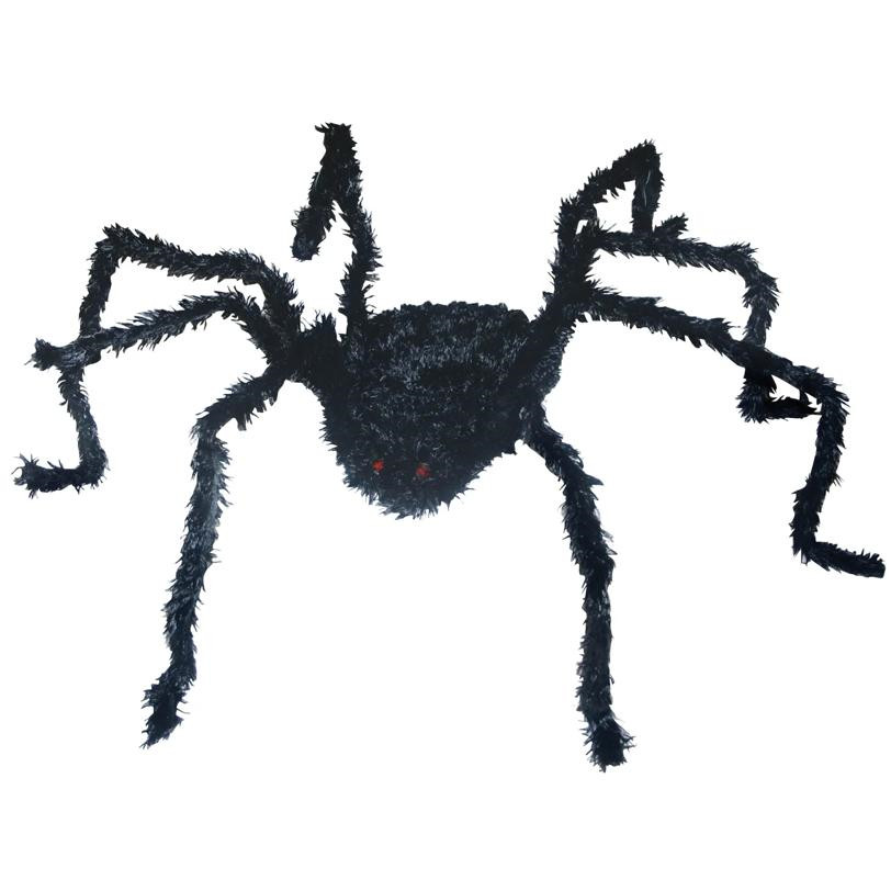 Spider - Sunstar Industries