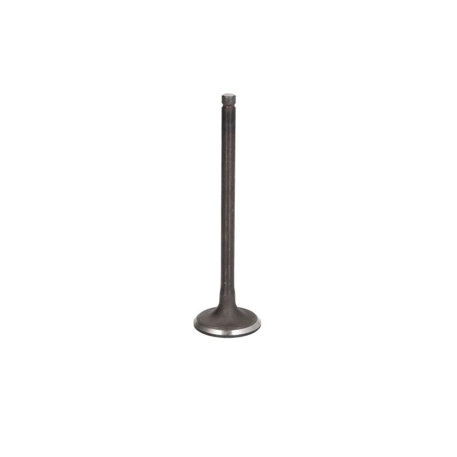 FITS FRECCIA 6813 SNT INTAKE VALVE OE REPLACEMENT