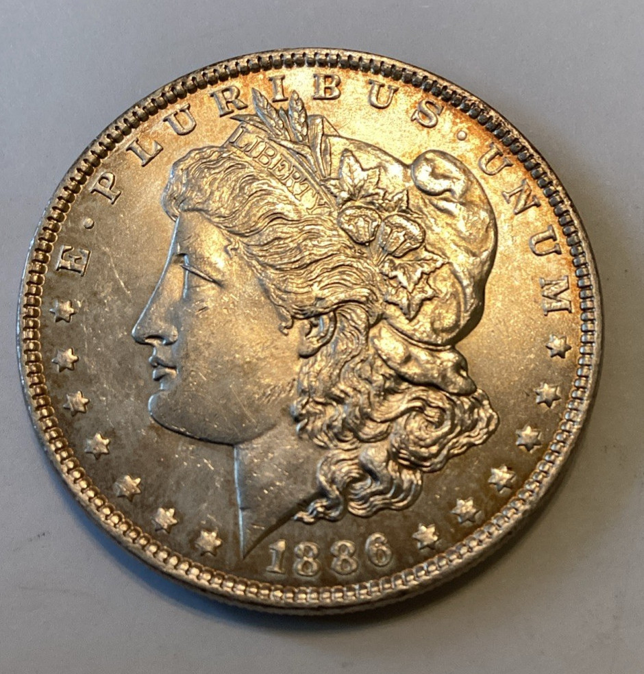 1886 MORGAN SILVER DOLLAR TONED