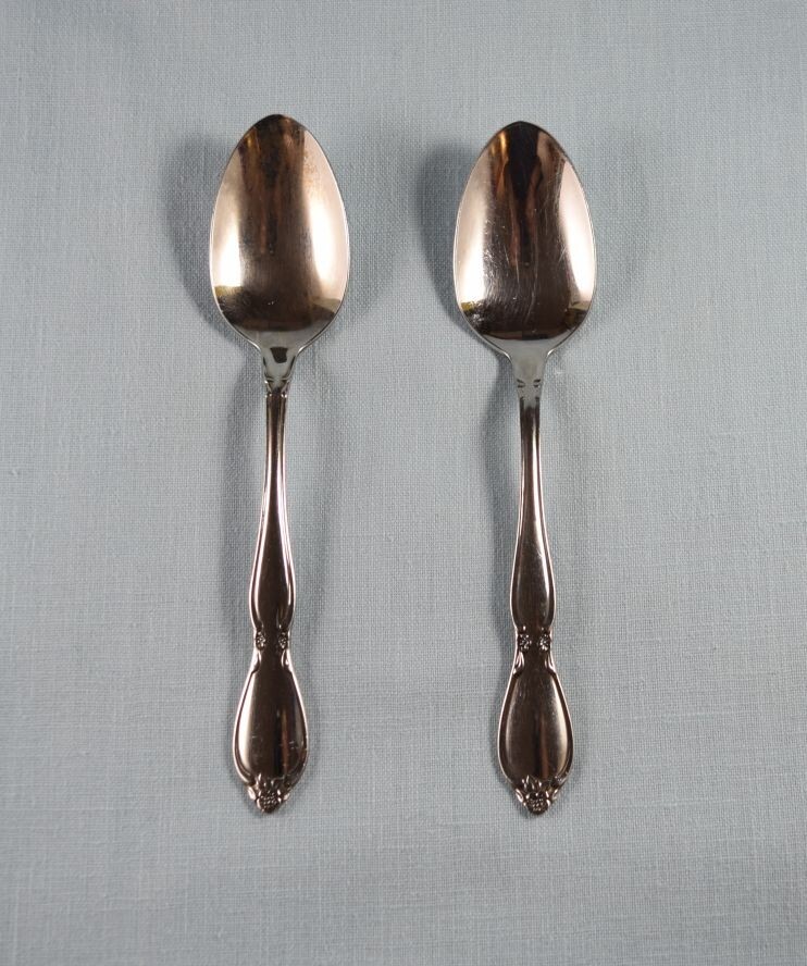 Oneida Community Stainless CHATELAINE 2 Teaspoons 6"