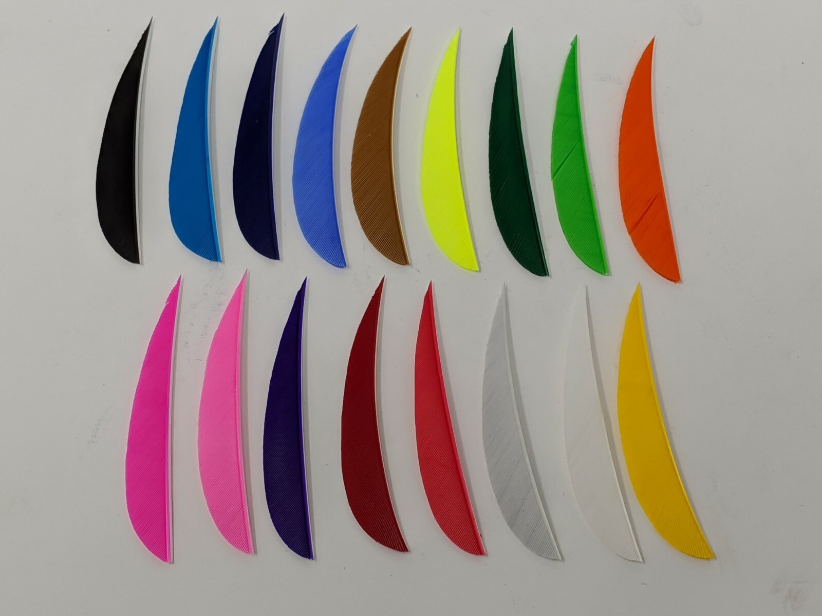 Archery Past 3" Parabolic Feathers - 12 Pack, RW or LW